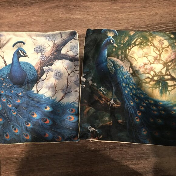 Set of 2 Peackcock Pillows & Cases18x18 NEW Gorgeous